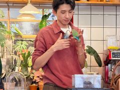 -吉丁鸟咖·异宠·寄养