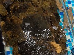 -映像威海·海鲜味道(市区店)