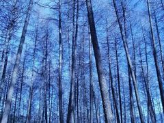 -硗碛藏寨·神木垒景区