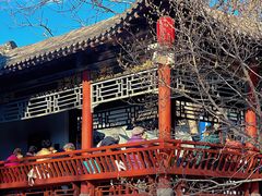-碑林公园