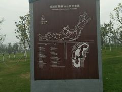 -瑶湖郊野森林公园