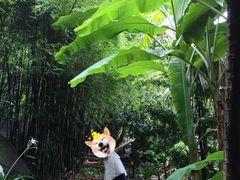 -三亚亚龙湾人间天堂鸟巢度假村