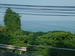 android_upload_pic-普吉镇