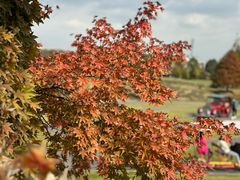 -花开海上生态园