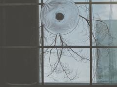 -素咫咖啡CLIFEROSE