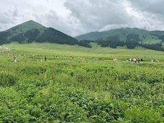 -新疆那拉提国家旅游度假区