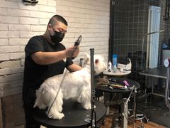 -Goku PET SHOP宠物视觉生活馆(双井店)