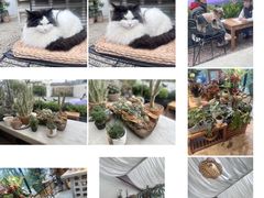 -自由生长植物工作室(深港花卉中心店)