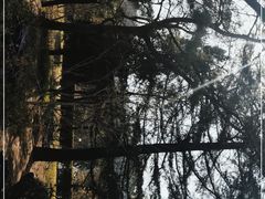 -白水寺森林公园