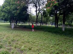 -后襄河公园