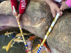 -鸿通城购物中心