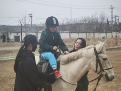 -北京群众马术培训基地