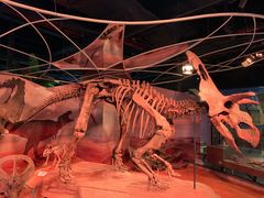 -正佳自然科学博物馆