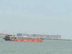 -大湾区中央湿地公园