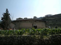 -福建土楼（华安）旅游区•大地土楼群