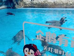 -珠海长隆海洋王国
