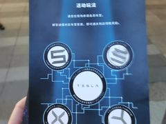 -TESLA 特斯拉(广州天环广场体验店)