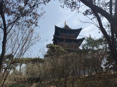 -迎泽公园