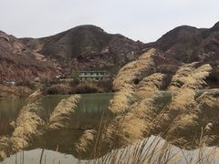 -爸爸糖吐司面包(兰州中心店)