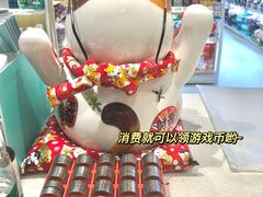 -鼎级派宠物(中南店)