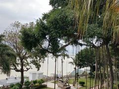 -船政文化景区-罗星塔公园