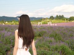-紫颐香薰山谷景区