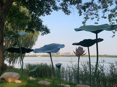 -西山漾湿地公园