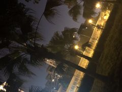 -神仙树公园
