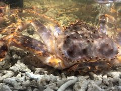 -盒马鲜生(曜一城店)
