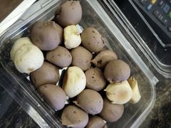 -智盛宫廷糕点(金顶街店)