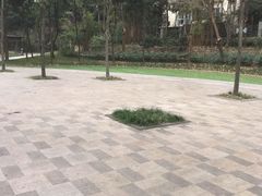 -卓锦曼购中心(国香街店)