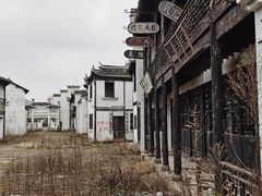 -上海鲜花港