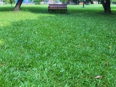 -荔枝公园(福田区)