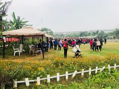 -三圣花乡旅游区