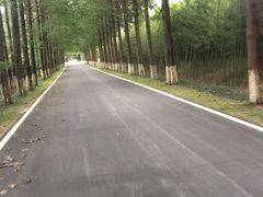 -黄海国家森林公园