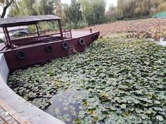 -红莲湖