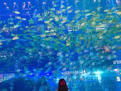 -成都浩海立方海洋公园