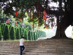 -广东革命历史博物馆办公楼