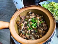 -红星光发煲仔饭(文海店)