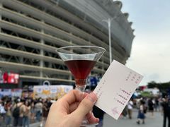 -海心沙(地铁站)