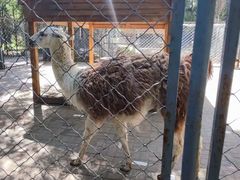 -长白岛森林公园