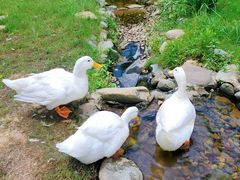 -HERRE·FARM 赫尔露营农场·团建聚会包场