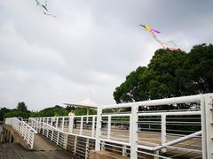 -新江湾城公园
