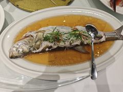 -老洋房花园饭店(绍兴路店)