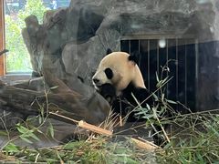 -云南野生动物园