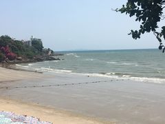 -卷心菜和避孕套餐厅(Pattaya)