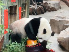-宁波野生动物园