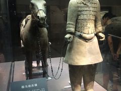 -秦始皇帝陵博物院(兵马俑)