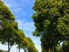 -漕湖湿地公园