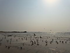 -老虎石海上公园